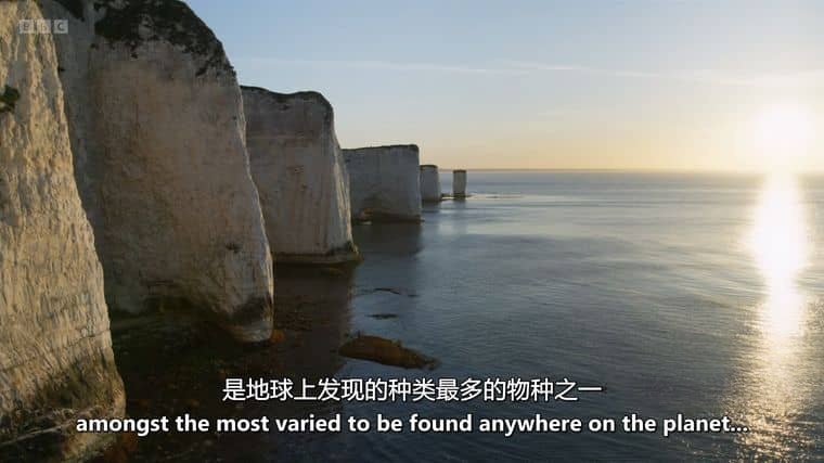 BBC纪录片《野性英伦/岛屿生命故事 Wild Isles 2023》第一季全6集 英语中英双字 4K超清/2160P/1080P/MKV/64.6G插图5 BBC纪录片《野性英伦/岛屿生命故事 Wild Isles 2023》第一季全6集 英语中英双字 4K超清/2160P/1080P/MKV/64.6G插图5