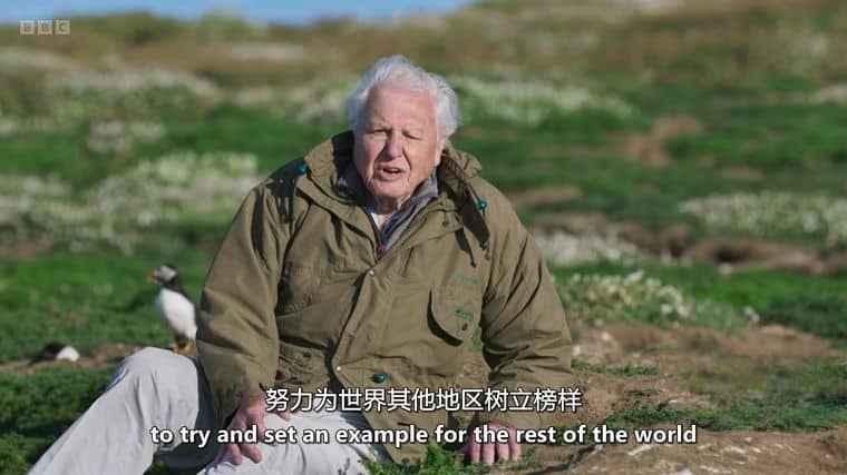 BBC纪录片《野性英伦/岛屿生命故事 Wild Isles 2023》第一季全6集 英语中英双字 4K超清/2160P/1080P/MKV/64.6G插图8 BBC纪录片《野性英伦/岛屿生命故事 Wild Isles 2023》第一季全6集 英语中英双字 4K超清/2160P/1080P/MKV/64.6G插图8