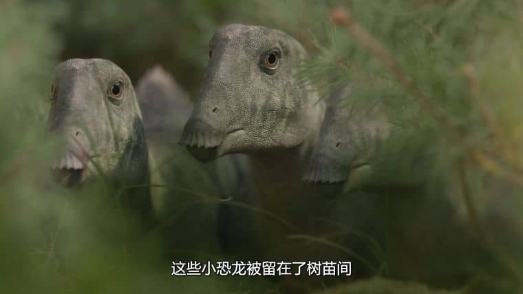 AppleTV/BBC纪录片《史前星球/史前世界 Prehistoric Planet 2023》第二季全5集 英语多国字幕 官方纯净版 4K高清/1080P/MKV/46G插图1 AppleTV/BBC纪录片《史前星球/史前世界 Prehistoric Planet 2023》第二季全5集 英语多国字幕 官方纯净版 4K高清/1080P/MKV/46G插图1