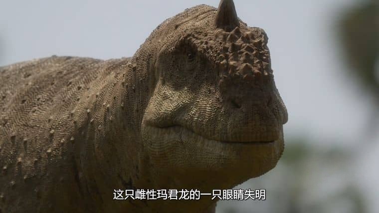 AppleTV/BBC纪录片《史前星球/史前世界 Prehistoric Planet 2023》第二季全5集 英语多国字幕 官方纯净版 4K高清/1080P/MKV/46G插图2 AppleTV/BBC纪录片《史前星球/史前世界 Prehistoric Planet 2023》第二季全5集 英语多国字幕 官方纯净版 4K高清/1080P/MKV/46G插图2