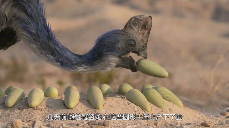 AppleTV/BBC纪录片《史前星球/史前世界 Prehistoric Planet 2023》第二季全5集 英语多国字幕 官方纯净版 4K高清/1080P/MKV/46G插图4 AppleTV/BBC纪录片《史前星球/史前世界 Prehistoric Planet 2023》第二季全5集 英语多国字幕 官方纯净版 4K高清/1080P/MKV/46G插图4
