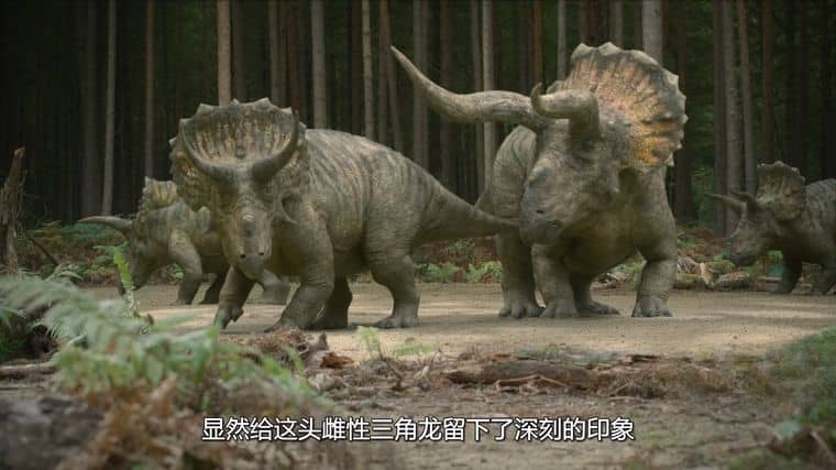 AppleTV/BBC纪录片《史前星球/史前世界 Prehistoric Planet 2023》第二季全5集 英语多国字幕 官方纯净版 4K高清/1080P/MKV/46G插图7 AppleTV/BBC纪录片《史前星球/史前世界 Prehistoric Planet 2023》第二季全5集 英语多国字幕 官方纯净版 4K高清/1080P/MKV/46G插图7