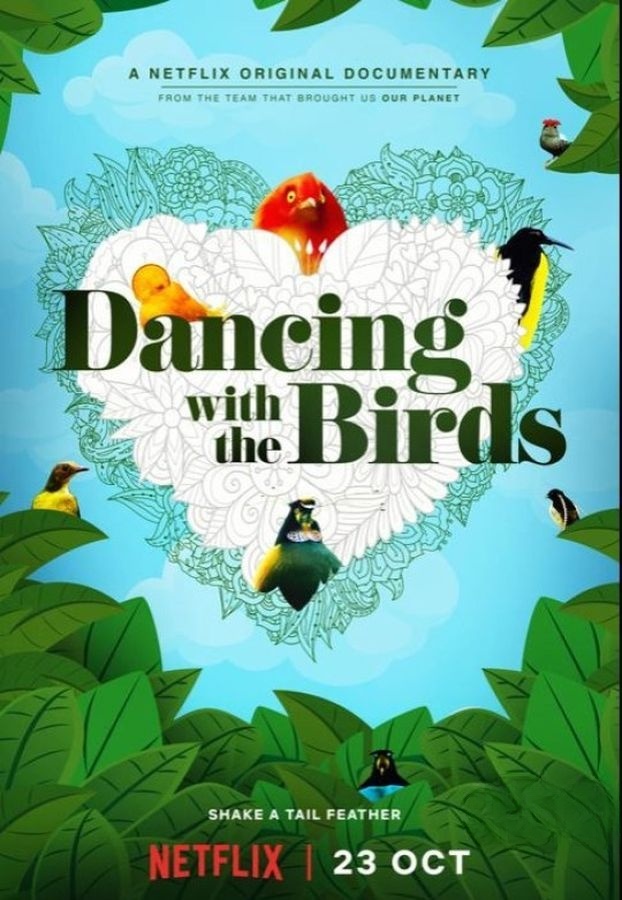 Netflix纪录片《与鸟共舞 Dancing with the Birds 2019》英语中字 4K超清/1080P/MKV/14G 鸟类纪录片下载插图 Netflix纪录片《与鸟共舞 Dancing with the Birds 2019》英语中字 4K超清/1080P/MKV/14G 鸟类纪录片下载插图