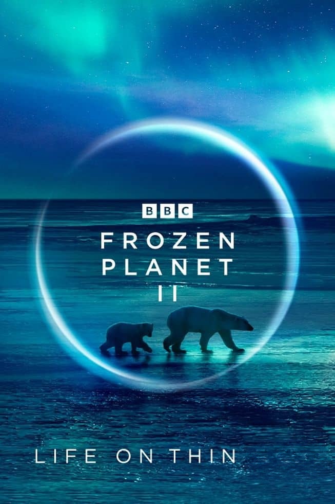 BBC纪录片《冰冻星球/极地动物们的挑战 Frozen Planet II 2022》第二季全6集 英语中英双字 4K超清/1080P/MKV/60.7G插图 BBC纪录片《冰冻星球/极地动物们的挑战 Frozen Planet II 2022》第二季全6集 英语中英双字 4K超清/1080P/MKV/60.7G插图