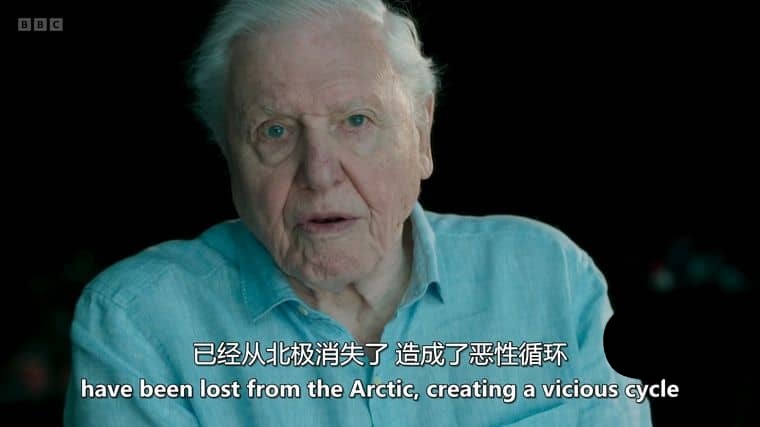 BBC纪录片《冰冻星球/极地动物们的挑战 Frozen Planet II 2022》第二季全6集 英语中英双字 4K超清/1080P/MKV/60.7G插图2 BBC纪录片《冰冻星球/极地动物们的挑战 Frozen Planet II 2022》第二季全6集 英语中英双字 4K超清/1080P/MKV/60.7G插图2