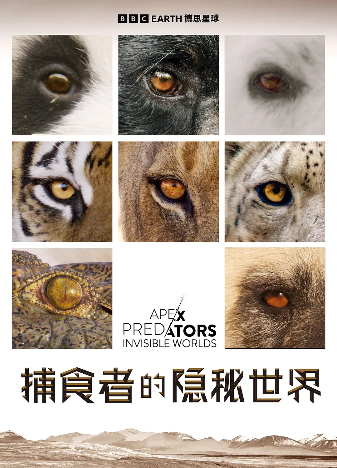 BBC纪录片《捕食者的隐秘世界/动物超凡本领 Apex Predators: Invisible Worlds 2024》全4集 国英双语中英双字 4K超清/2160P/MKV/10.2G插图